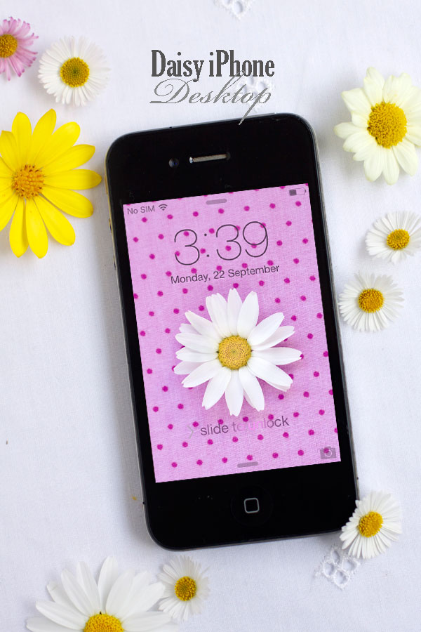 daisy-iphone-desktop-with-polka-dots-for-4,5,6