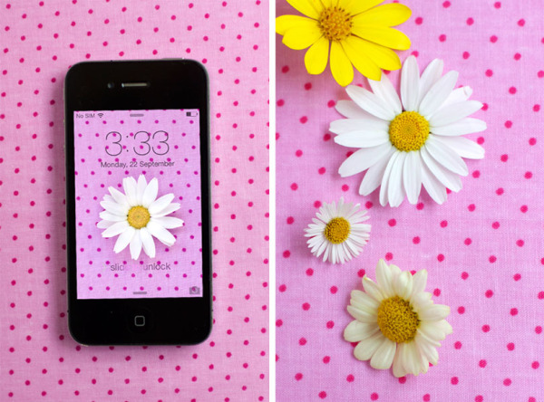 daisy-polka-dot-desktop-background-for-iphone-4,-5-and-6-composite