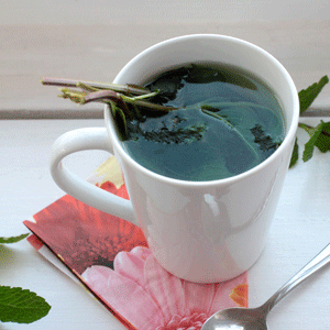 Fresh Mint Tea