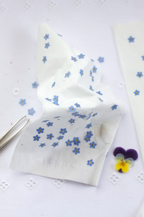 DIY-Pressed-flower-confetti---how-to-2