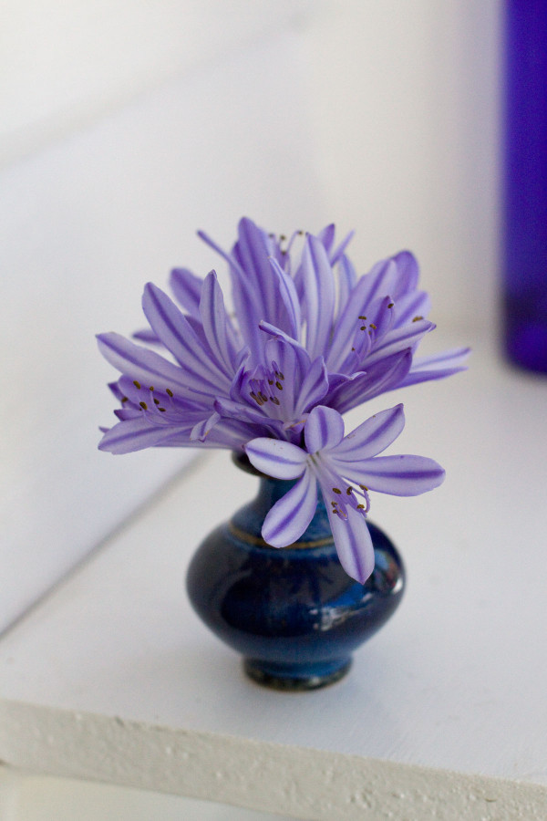 Simple Tiny Flower Arrangements - 3 Ways with Agapanthus DIY