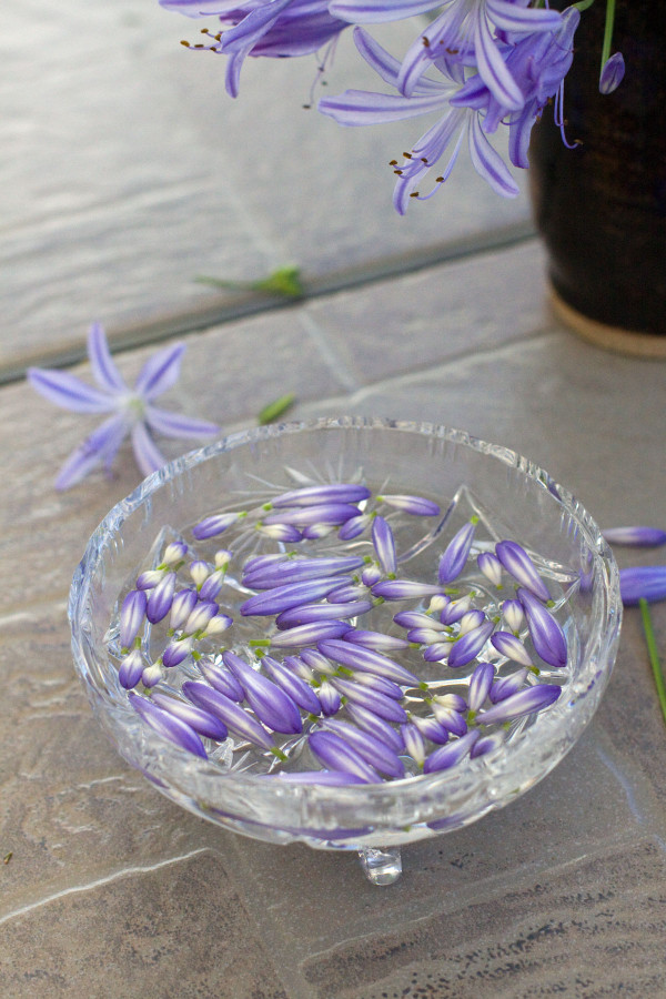 Simple Tiny Flower Arrangements - 3 Ways with Agapanthus DIY