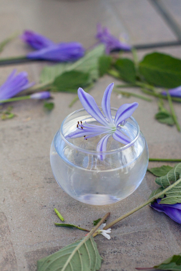Easy Tiny Flower Arrangements - 3 Ways with Agapanthus DIY