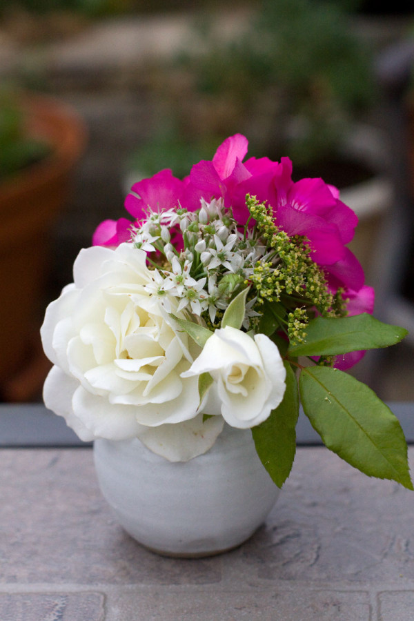 DIY Mini Garden Flower Arrangement : Rose, Geranium, Parsley and Chive