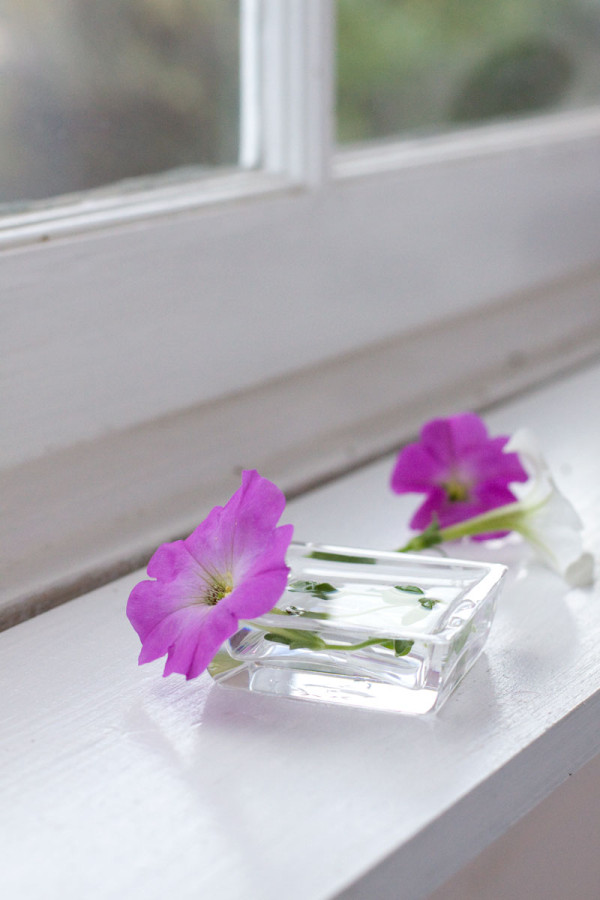 Window Sill Flower Arrangement with Petunias