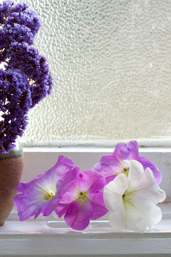 Mini Window Sill Flower Arrangement with Petunias
