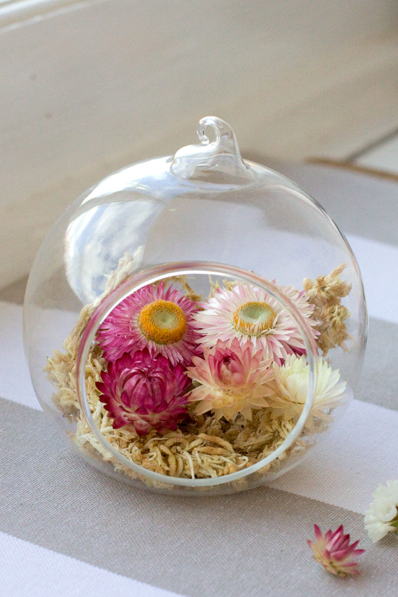 DIY: Autumn Glass Terrarium - Straw Flowers and Moss