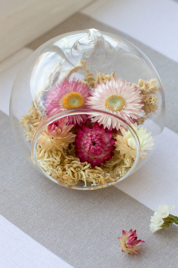 DIY: Autumn Glass Terrarium - Straw Flowers and Moss