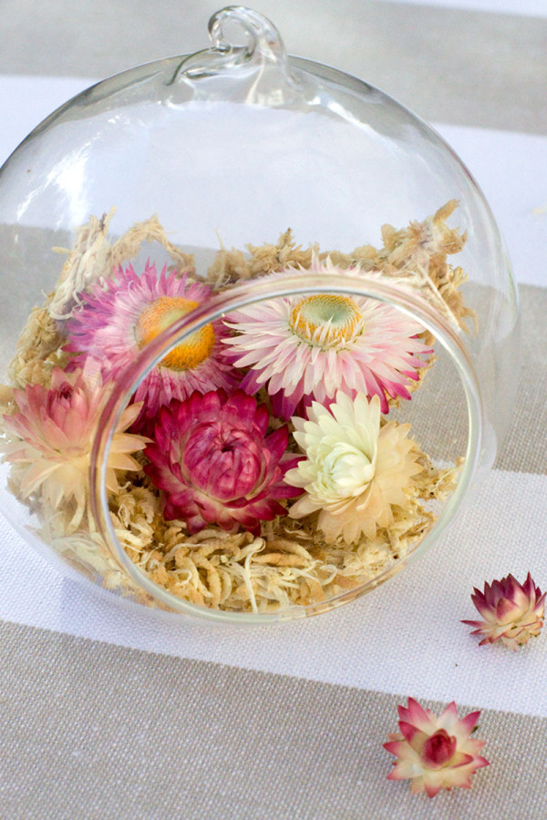 DIY: Autumn Glass Terrarium - Straw Flowers and Moss