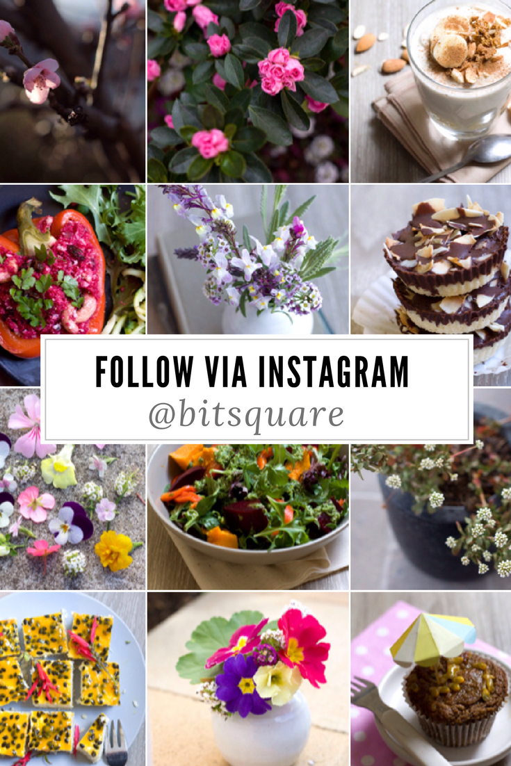 Australian Lifestyle Bloggers to follow on Instagram - Flowers, Crafts, Healthy Paleo Recipes
