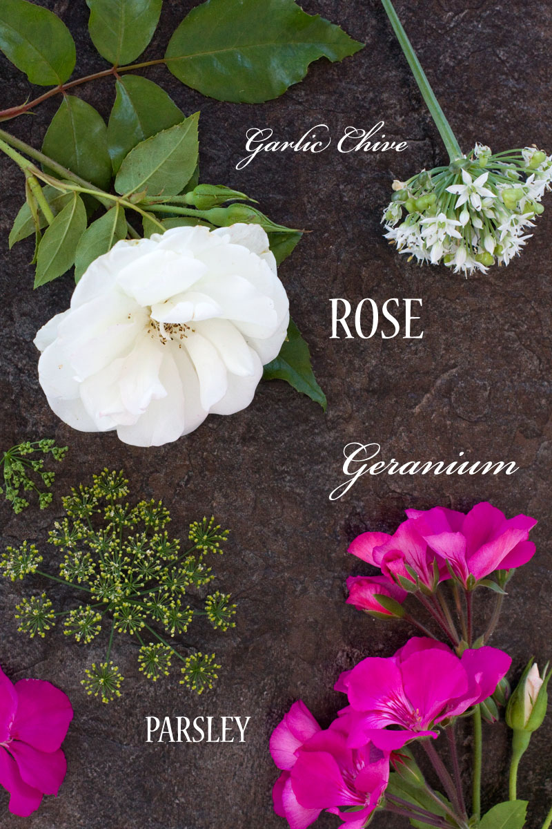 Mini Garden Flower Arrangement: Rose, Geranium, Parsley and Chive